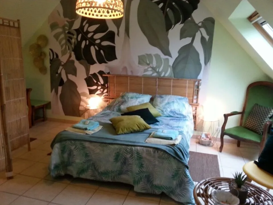 Chambre d’hôtes verte lumineuse à Plouescat, photo 3
